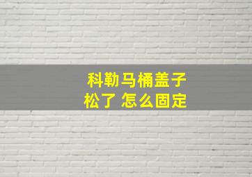 科勒马桶盖子松了 怎么固定